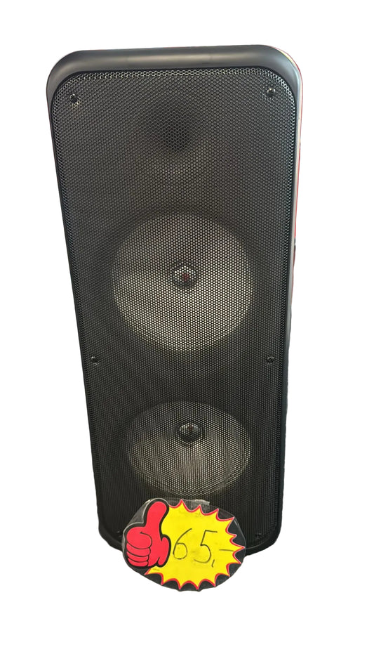 AY-8801 Party Lautsprecher mit LED & Mikrofon 1200W